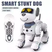 Kids Funny RC Smart Robot Dog Stunt Voice Command Music Song for Children Toys