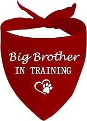 JXGZSO 1 Piece Big Sister/Brother in Training Dog Bandana Dog Pregnancy Announcement Gift (Big Brother D)