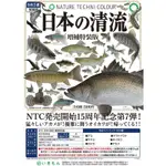 【神經玩具】預購 IKIMON 扭蛋 NTC圖鑑 日本的清流 魚 增補特裝版 一套6種 轉蛋 日本の清流