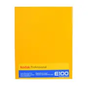 Kodak Ektachrome E100 4x5 - 10 Sheets