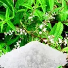 Lavender & Lemon Verbena Bath Salts/Bath Soak Relaxing Aromatherapy Luxury