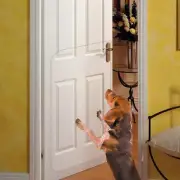 44x24 Inch Door Protector from Dog Scratching Anti Scratch Furniture Protector