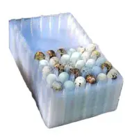 30 hole quail egg cartons for jumbo quail eggs 50 count