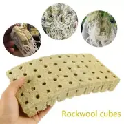 50 Cubes Rockwool Sheet Block Propagation Cloning Seed Raising Hydroponic·-