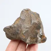 369g Gebel Kamil iron meteorite, Egypt, Space Gift, meteorite, specimen R1737