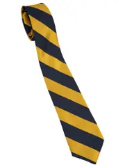 Snr Navy/Gold Tie