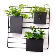 Vertical Garden Wall Planter. Wall Mounted for Indoor Outdoor. All Metal
