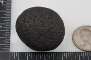 Black Sheba - Cintamani - 42g - Rarer than Saffordite Impactite Tektite #dhx32