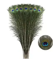 Natural Long Peacock Feathers - 40Pcs 23-28 Inches for Floral Arrangements, Wedd