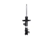 Shock absorber BILSTEIN 22-227072 (for: Fiat)