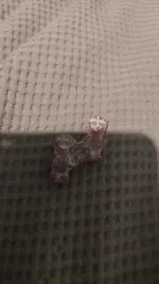 Super Rare Conjoined Sour Patch Kids Purple