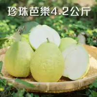 在飛比找台灣好農優惠-小公主果園 珍珠芭樂4.2公斤