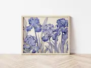 [Namly Design] Poster - Blue Irises