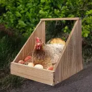 Chicken Nesting Box Easy Assembly Habitat Supplies Hens Nesting Box for Bird
