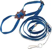 BESPORTBLE Tortoise Pulling Rope Outdoor Hauling Leash for Pets Durable Tortoise Walking Strap Loop for Turtles Reptiles