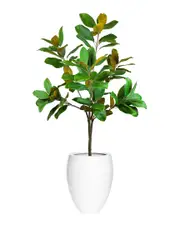 Creative Displays UV-Rated 5ft Magnolia Tree Drop-in with Fiberstone Planter