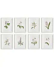 Napa Home & Garden Set of 8 Flowers In Bloom Petite Prints