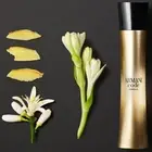 Giorgio Armani Code Absolu EDP Women | Warm Floral Perfume | Made in France