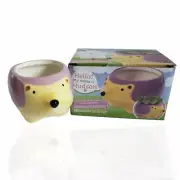 Cute Animal Succulent Planter/Pot Ceramic 4" Hedgehog