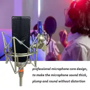 Vocal Condenser Microphone Complete Live Studio Sound Recording Boom Audio Mic
