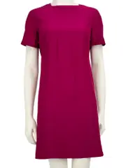 Fuchsia Knee Length Dress