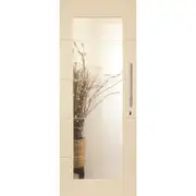Hume 2040 x 820 x 40mm Entrance Door Linear G1 Glass XLR110