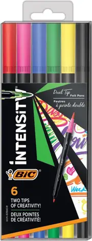 Pack of 6 BIC Intensity Dual Tip Felt Tip Pens and Brush