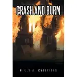 CRASH AND BURN: THE INEVITABLE FALL FROM GRACE