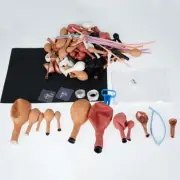 103pcs Nude Blush Balloon Arch Kit Reusable Nude Balloon Arch Set lemWw