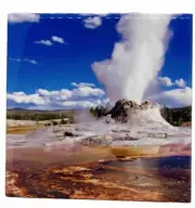 Yellowstone National Park Ceramic Tile Trivet Coaster Travel Souvenir 4" x 4"