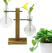 Plant Propagation Jars - Test Tube Hydroponic Rack Propagate Plant Holder Wooden Stand Propagating Station,Vase Jars, Glass Hydroponic Container for Women, Mom