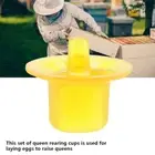 50Pcs Beekeeping Cell Cups Royal Cups Bee Rearing Equipment Yellow
