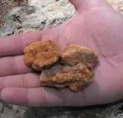 Three natural Jerusalem stone - mineral rock collecting