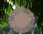 Optical Illusion V5 10inch Wind Spinner Gift Birthday Christmas Fun
