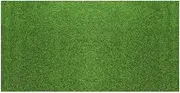 Artificial Grass Door Mat Fake Turf Mat Indoor Outdoor Lawn Patio Garden Grass Rug Dogs Pet Synthetic Grass Carpet Rubber Backed with Drainage Holes(50x100cm)