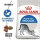 Royal Canin 法國皇家 貓飼料 室內成貓 IN27 專用乾糧 適口性高