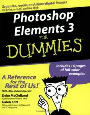 PHOTOSHOP ELEMENTS 3 FOR DUMMIES By Deke Mcclelland & Galen Fott **BRAND NEW**