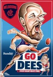 Melbourne demons team poster, free post,afl football