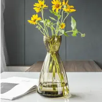 在飛比找momo購物網優惠-【JEN】北歐簡約小清新玻璃花瓶花器居家裝飾桌面擺飾高28c