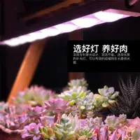 在飛比找ETMall東森購物網優惠-科瑞LED植物生長燈全光譜多肉補光燈上色室內雨林缸盆栽微景觀