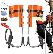 Trees climbing gear, climbing spikes, Fruit Picking Tree Talling Spurs height adjustable | High strength worker safety accessories, climbers work tool for su