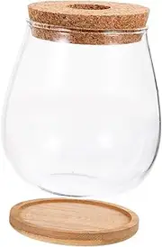 MINAOLULUS Transparent Hydroponic Glass Terrarium Pot for Indoor Decoration Elegant Plant Propagation Station Fish Tank for Home Office Restaurant Use Present for Plant Lovers