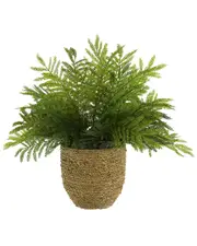 Creative Displays Outdoor UV-Rated Ostrich Fern in Straw Grass-Wrapped Pot