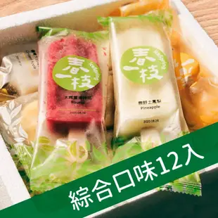 【春一枝】綜合天然水果手作冰棒12入B組(10口味)