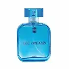 Ajmal Blu Dreams Long Lasting Fougere Perfume For Men 100ml Free Ship l628