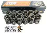 SET OF 12 SINGLE VALVE SPRINGS FOR FORD FALCON AU INTECH HP VCT & NON VCT 4.0 I6