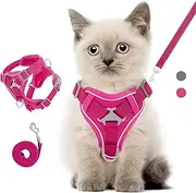 Cat Harness and Lead Set for Walks, Adjustable Kitten Vest Harness with Reflective Strip, Escape Proof Pet Safety Vest for Cats, Puppies, S, Magenta