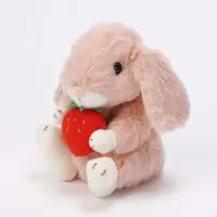 在飛比找Yahoo!奇摩拍賣優惠-☆薇菈日本精品☆日本製 STAR CHILD 垂耳兔 兔子抱