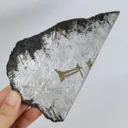 247g Muonionalusta meteorite slice R1613