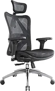Ergonomic Office Chair, Computer Chair Desk Chair High Back Chair Breathable, Skin-Friendly Mesh Chair Adjustable 3D Armrest and Lumbar Support (Black)